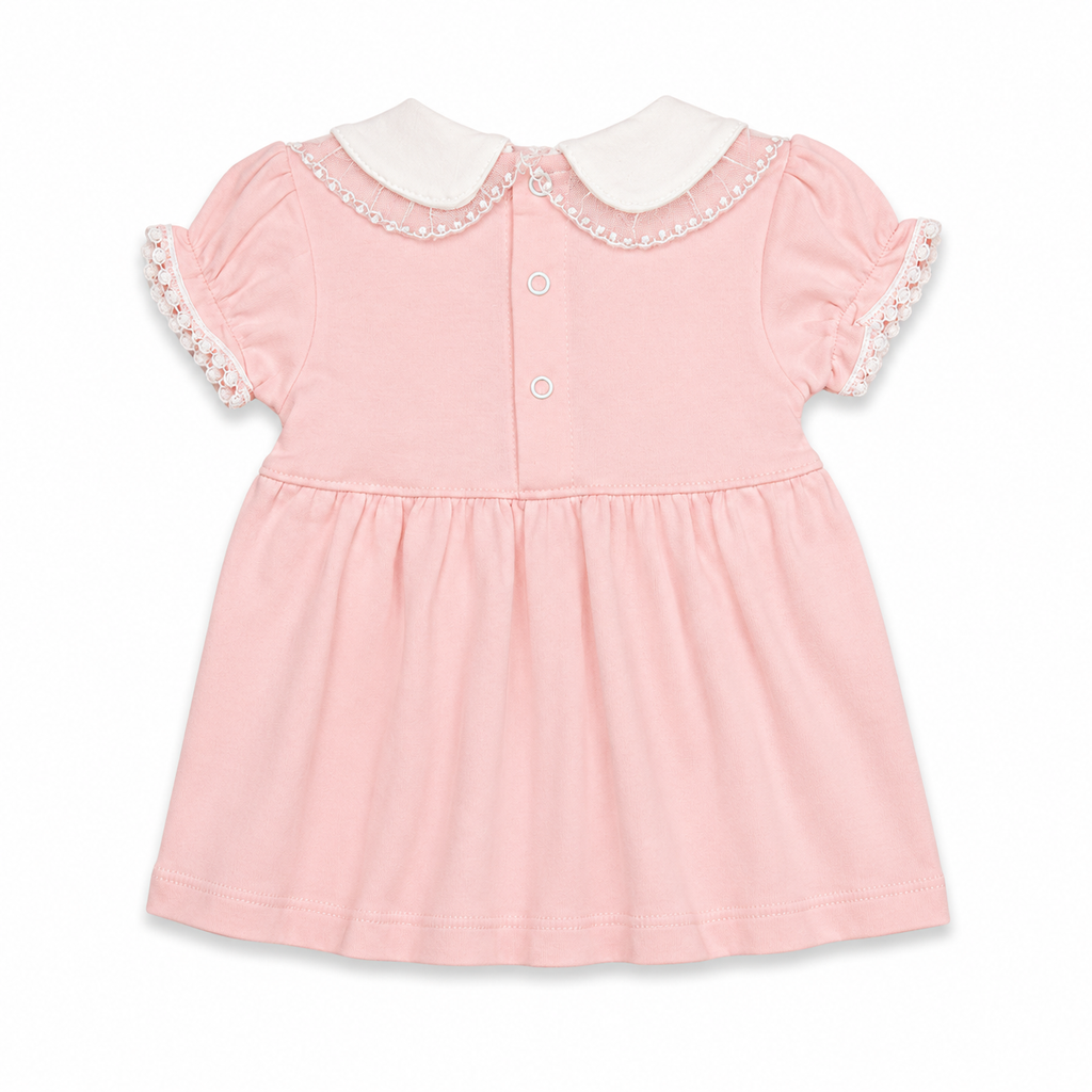 Floral Collar Bow Baby Dress